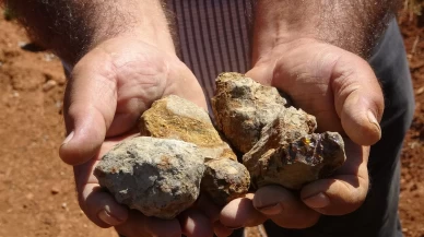 Bayburt'ta kehribarın zorlu mesaisi