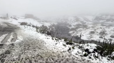 Ardahan ve Kars’ta yüksek kesimlerde kar yağışı ve sis etkili oldu