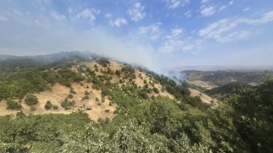 Bingöl'de orman yangını: Ekiplerin müdahalesi sürüyor