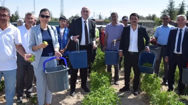 Karapınar'da "Doğayla El Ele Öğreniyorum, Üretiyorum, Paylaşıyorum" projesi meyvelerini veriyor