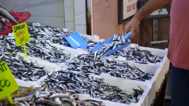 Karadeniz'in incisi hamsi tezgahlarda: Ne alırsan 100 TL