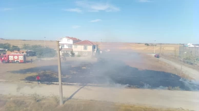 Tekirdağ'da otluk alanda yangın