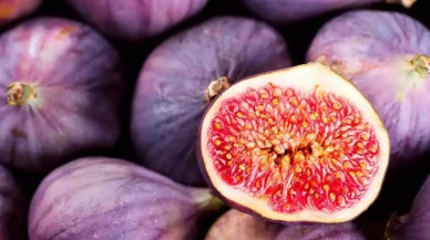 Yüze incir sürmenin şaşırtıcı faydaları