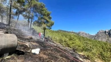 Adana'da orman yangını