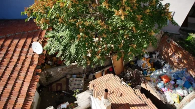 Edirne'de mahallede fare paniği