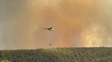 Alevler Alanya’yı sardı! Evler tahliye edildi