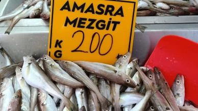 Balıkçılar palamut için "kestane karası"nı bekliyor