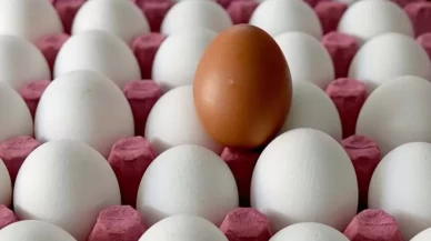 Yumurta üretimi yıllık bazda yüzde 4,9 azaldı
