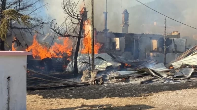 Bolu'da yaylada 12 yapı küle döndü: Kundaklama şüphesi