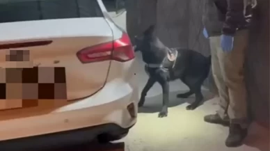 Dedektör köpek Tony, araçta uyuşturucuyu ortaya çıkardı: 3 gözaltı