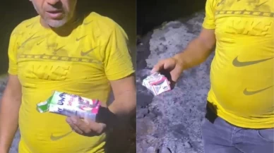 Görenleri şaşkına çevirdi: Küle dönen ormandan bakın ne çıktı?