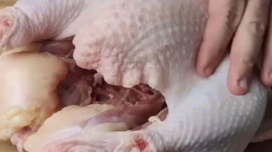 Beyaz et sektörüne dev ceza: 13 şirkete 3,7 milyar lira