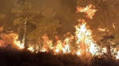 Alanya'da alevlerle mücadele devam ediyor