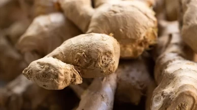 Zencefil çayı ile mide bulantısını hafifletmek mümkün