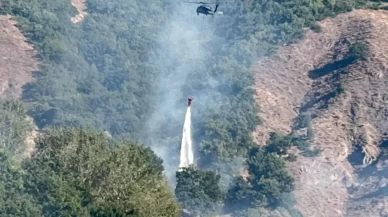 Tunceli'de çıkan orman yangını kontrol altına alındı