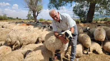 130 bin TL maaşa işçi yok! İşverenler: ‘Parayla bile çalıştıracak kişi bulamıyoruz