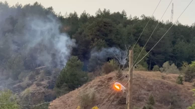 Karabük’te yangın 3 saatte kontrol altına alındı