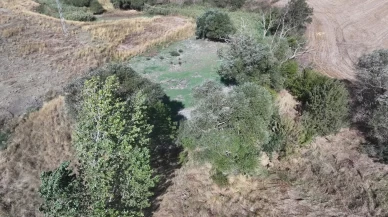 Edirne'deki Musabeyli Göleti kuraklık nedeniyle tamamen kurudu