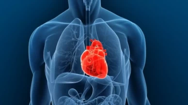 Uzmanı, kalp sağlığını korumak için bilinmesi gerekenleri sıraladı