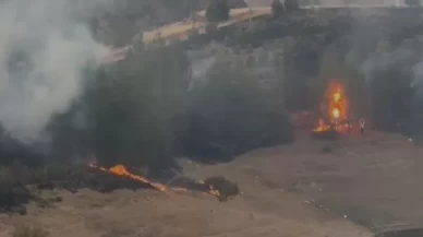 Elazığ'da kırsal alan yangını