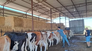 Kuyucak'ın 13 mahallesinde giriş çıkışlar yasaklandı