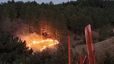 Bingöl’de çıkan orman yangını kontrol altına alındı