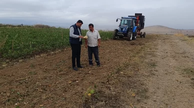 Şeker pancarı hasadı başladı