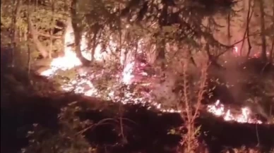 Düzce'de çıkan orman yangını itfaiye ve vatandaşın işbirliğiyle söndürüldü