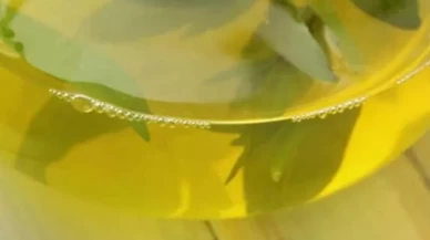 Aç karnına içerseniz metabolizma motor gibi çalışıyor