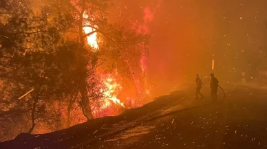 SON DAKİKA! Alanya ve Milas'ta orman yangını! Ekiplerin yoğun mücadelesi devam ediyor