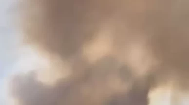 Hatay'da zeytinlik alanda yangın