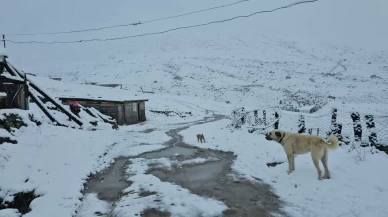 Rize'de yüksek kesimlere kar yağdı
