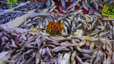 Samsun'da hamsi bolluğu fiyatları düşürdü: "Fakirin eti" oldu