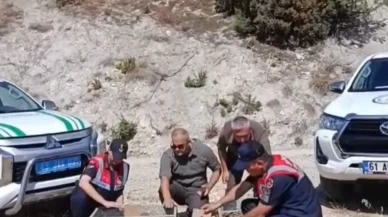 Kütahya'da yakalanan 142 saka kuşu doğaya salındı