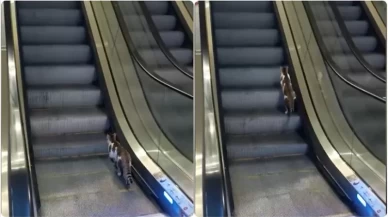 Havalimanında kedinin yürüyen merdivenle imtihanı