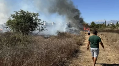 Antalya'nın Muratpaşa ilçesinde sazlık alanda çıkan yangın kontrol altına alındı