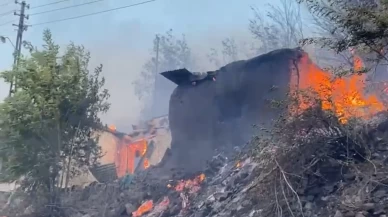 Tunceli'de yangın: Evler ve ağaçlık alan alevlere teslim oldu