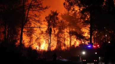 Antalya'nın Aksu ilçesinde orman yangını çıktı