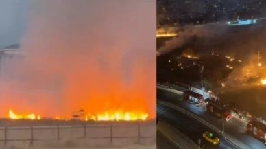 Küçükçekmece'de otluk alanda çıkan yangın söndürüldü