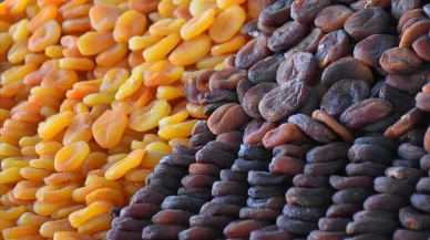 Zirai don mağduru çiftçilere müjde: Ödemeler bu ay yapılacak