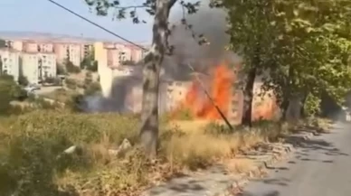 Bursa'daki ot yangını söndürüldü