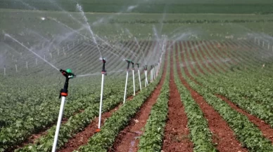 Bitkisel üretimde yeni desteklemelerin detayları belli oldu
