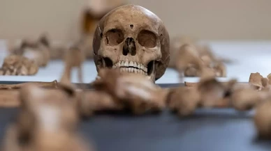 Avustralya'da bir üniversitenin 25 yıl boyunca izinsiz beden parçaları topladığı belirlendi