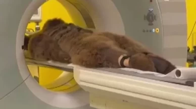 Yediği meyveler dokundu, hastaneye kaldırıldı