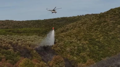 Bursa'da orman yangını!