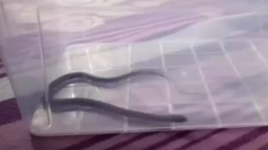 Dördüncü katta çocuk odasından çıktı