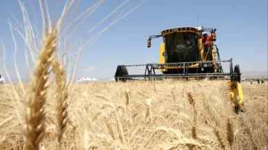 Hububat ihracatı 8 ayda 8 milyar doları aştı