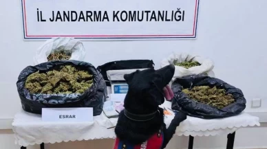 Batman'da uyuşturucu operasyonu!