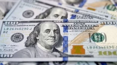 Firmaların döviz pozisyonu Temmuz’da geriledi