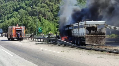 Büyükbaş hayvan yüklü tırda yangın çıktı